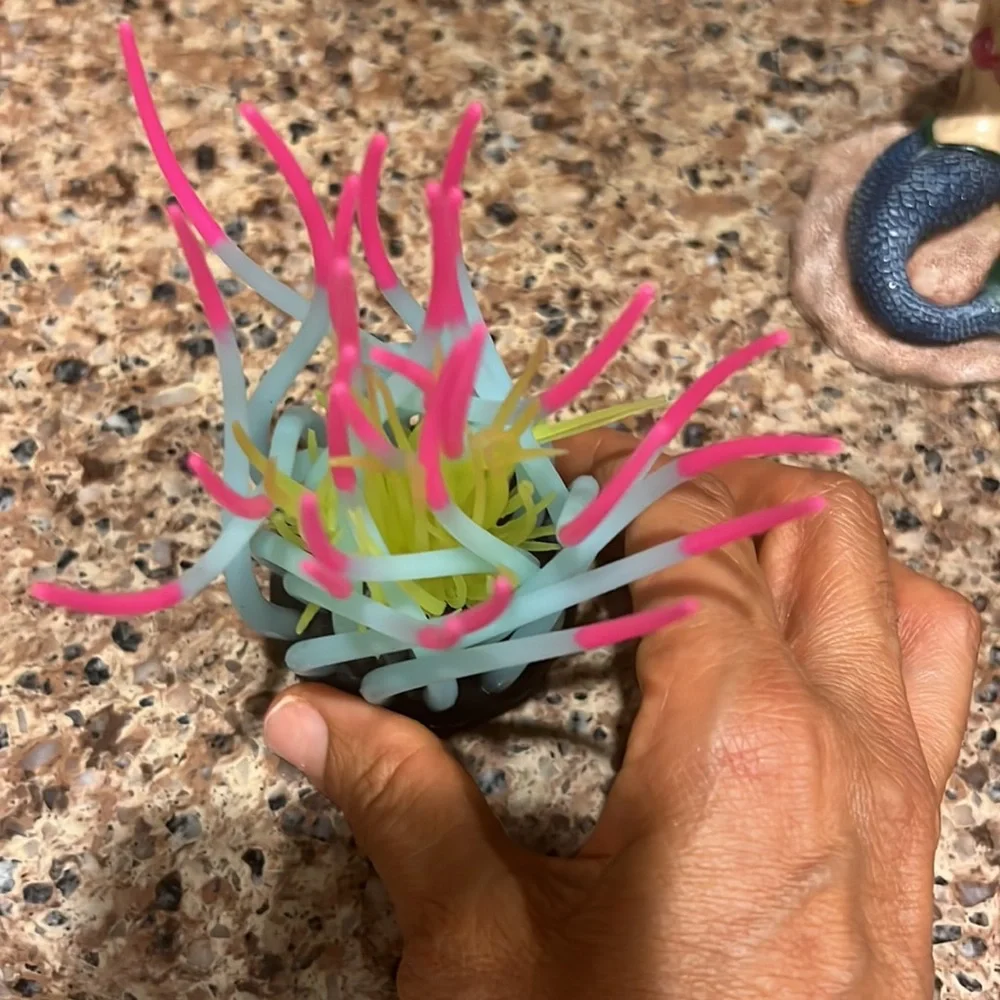 Some aquarium Decoration EXCELLENT condition